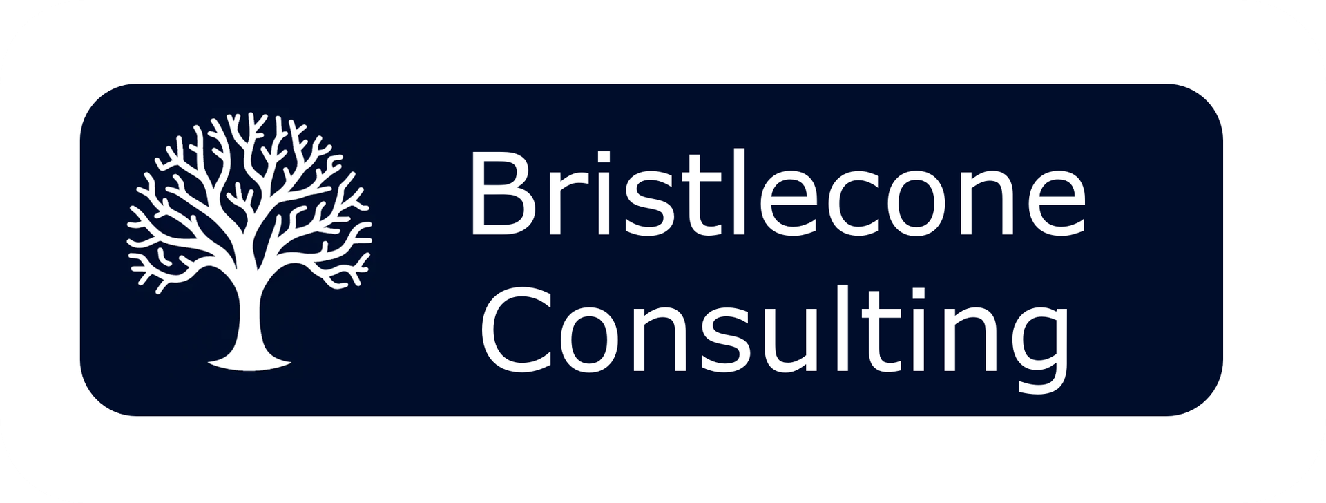 Bristlecone Consulting